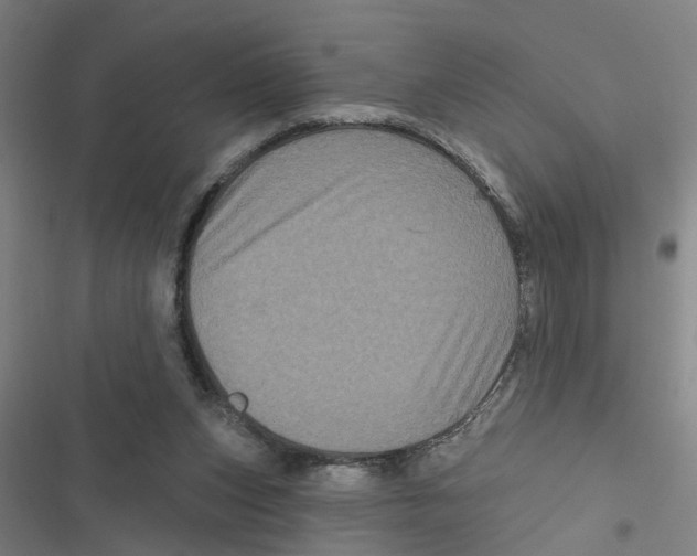 X0000116870159201001191730