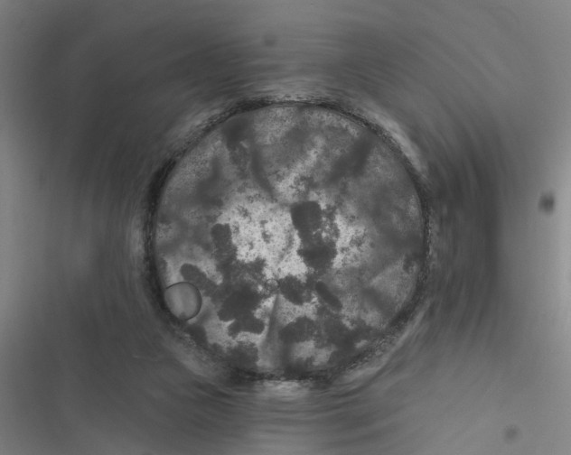X0000116870161201001191730