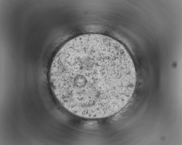 X0000116870162201001191730