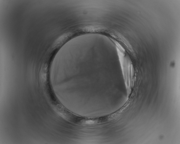 X0000116870163201001191730