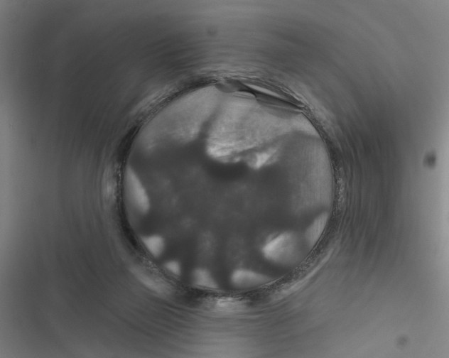 X0000116870165201001191730
