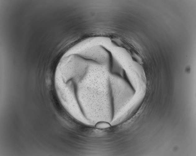 X0000116870166201001191730