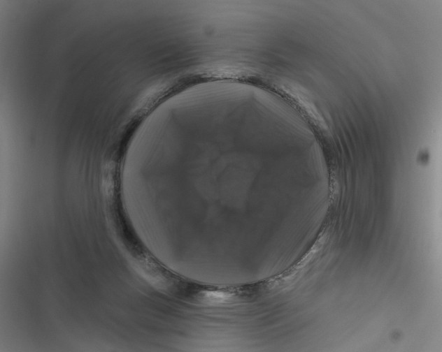 X0000116870167201001191730