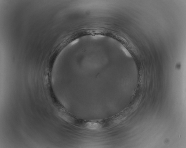 X0000116870169201001191730