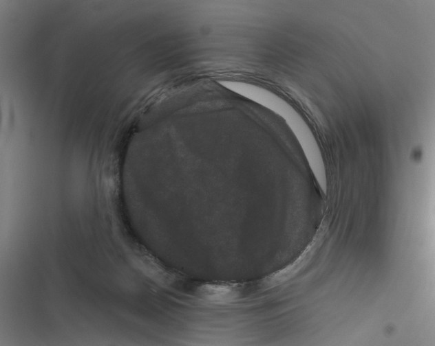 X0000116870170201001191730