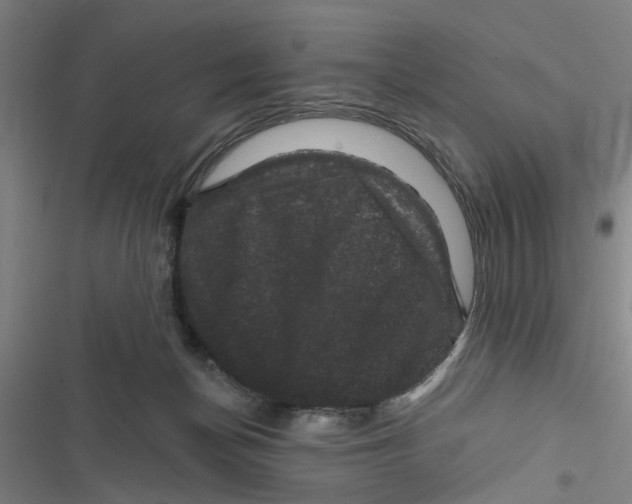 X0000116870174201001191730