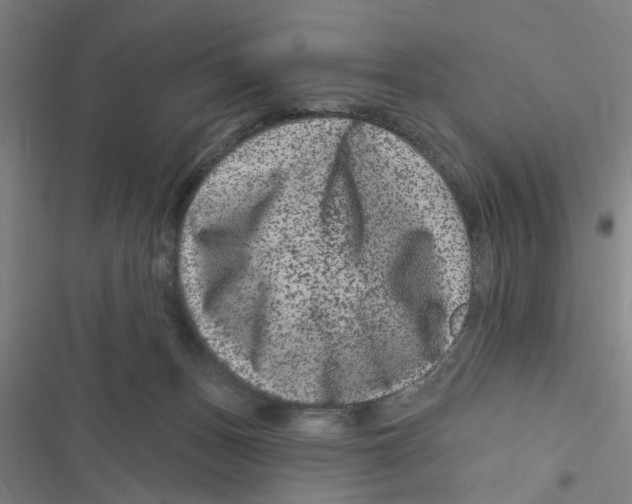 X0000116870175201001191730