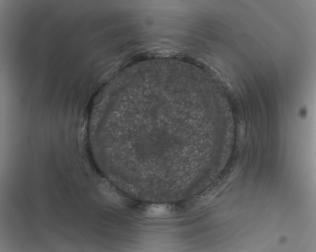 X0000116870177201001191730