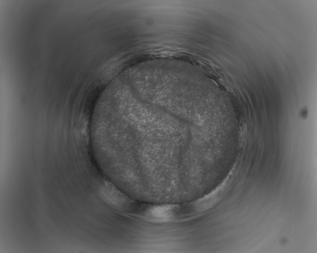 X0000116870178201001191730