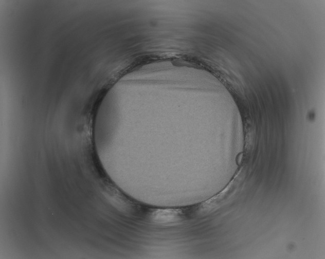 X0000116870179201001191730