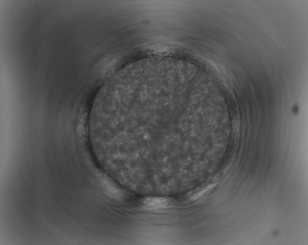 X0000116870181201001191730