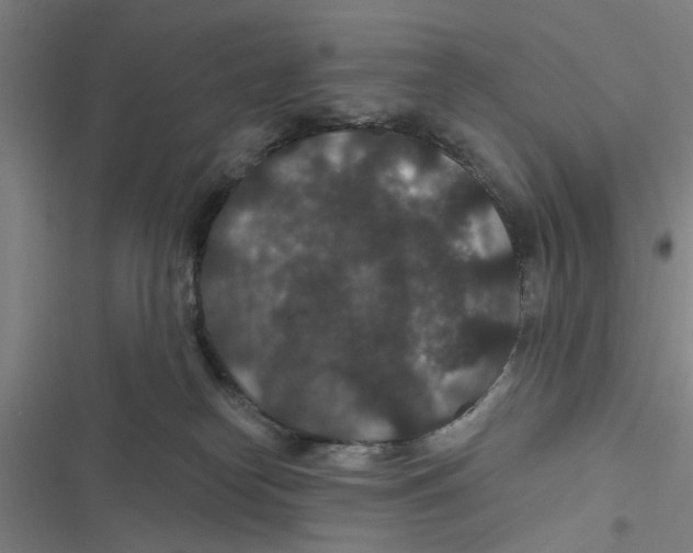 X0000116870182201001191730