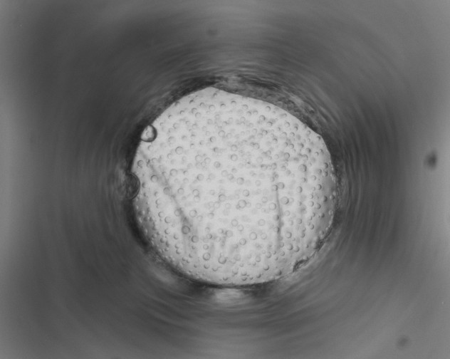 X0000116870183201001191730