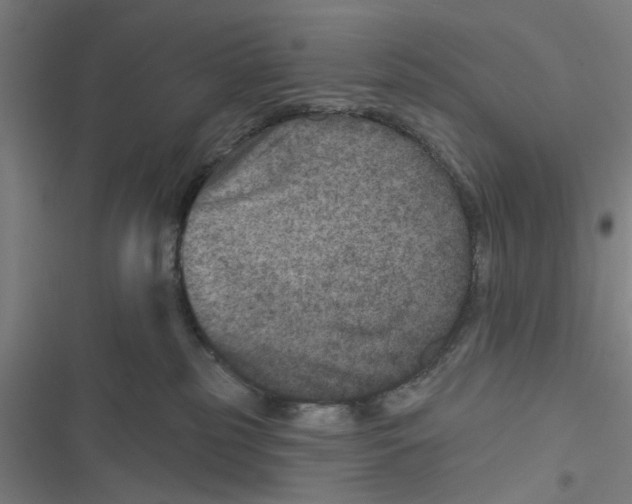 X0000116870185201001191730