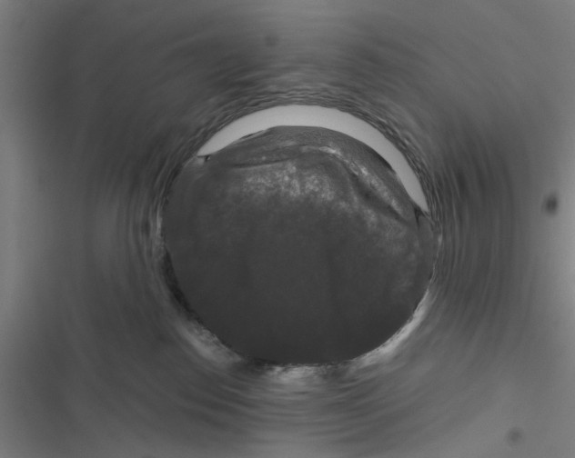 X0000116870186201001191731