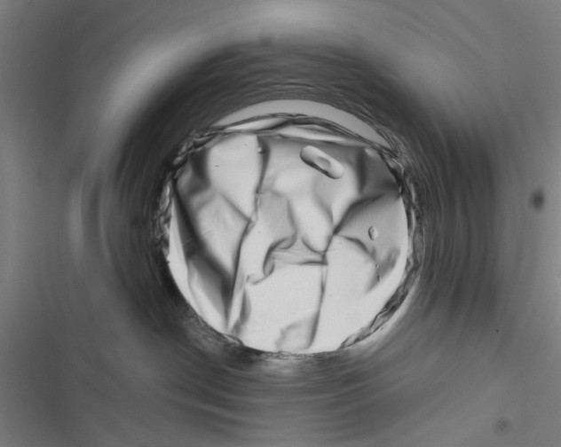 X0000116870190201001191731