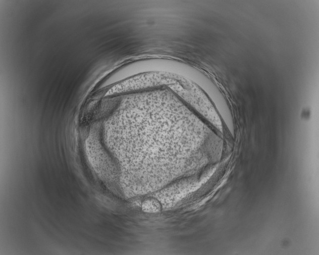 X0000116870194201001191730