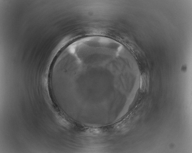 X0000116870195201001191730