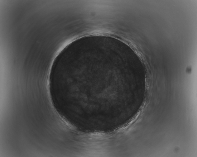 X0000116870196201001191730