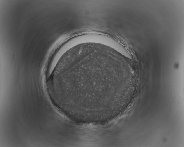 X0000116870197201001191730