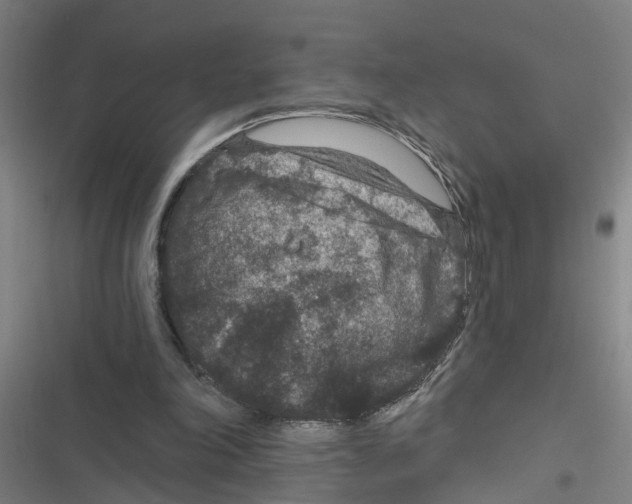 X0000116870198201001191730