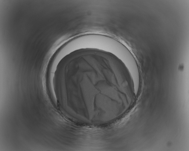 X0000116870199201001191730