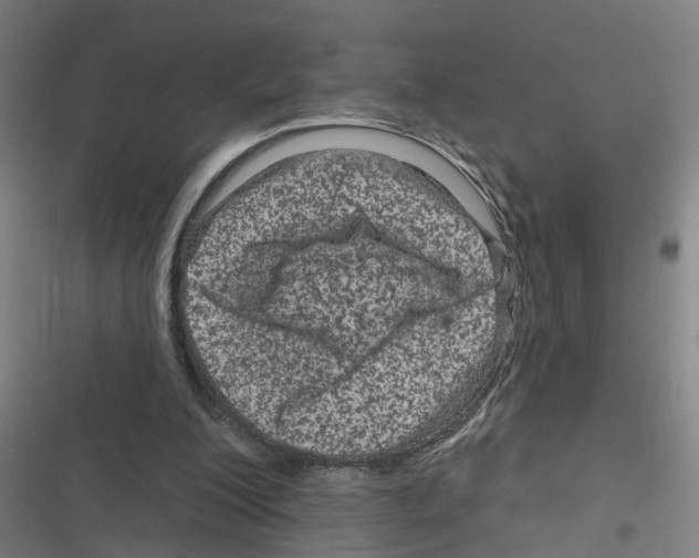 X0000116870200201001191730