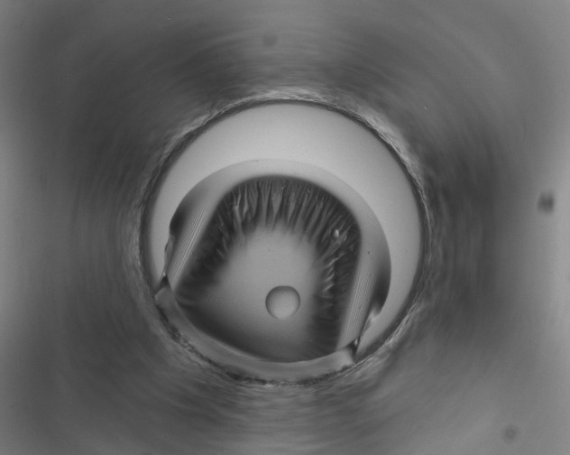 X0000116870201201001191730
