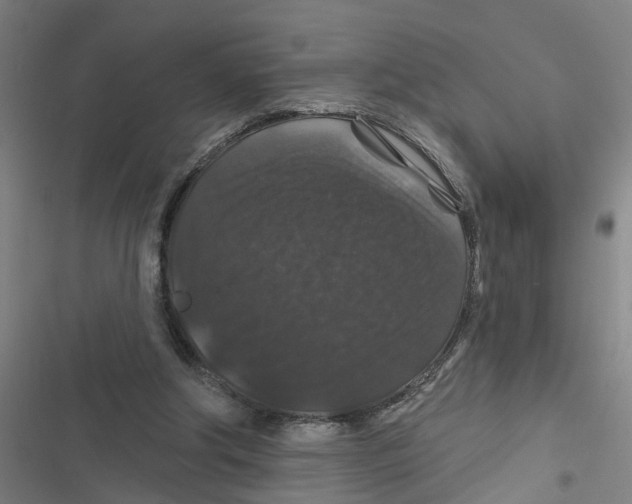 X0000116870202201001191730