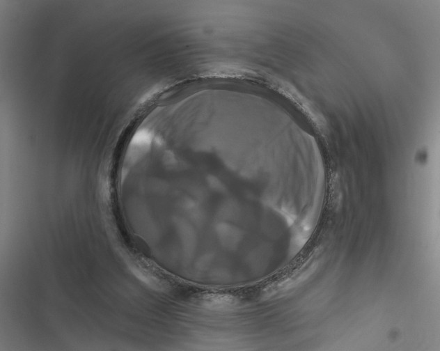 X0000116870203201001191730