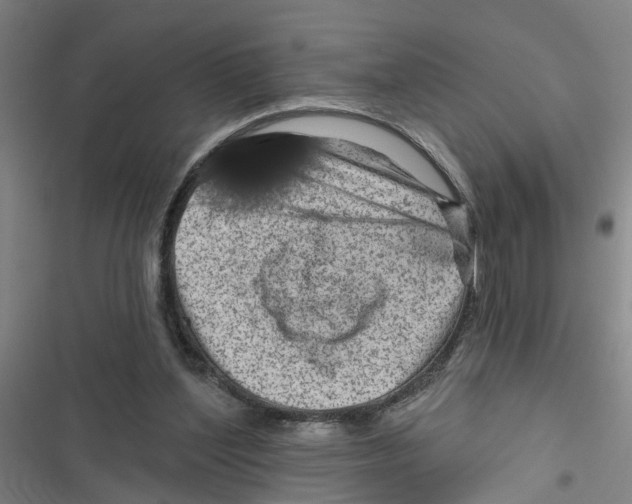 X0000116870204201001191730