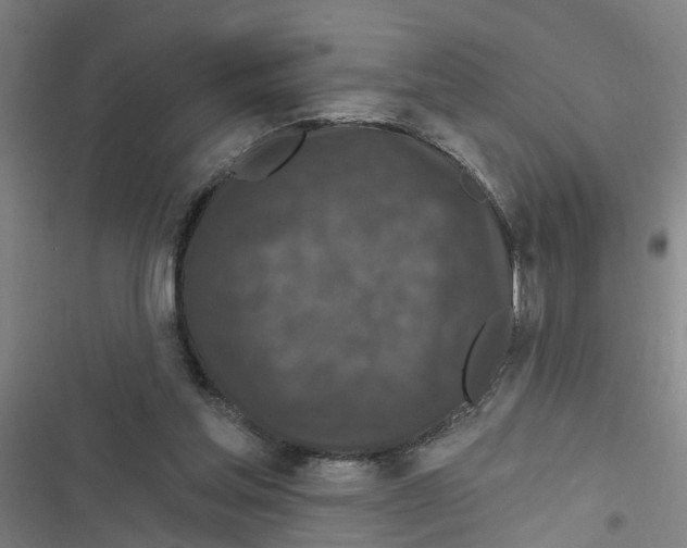 X0000116870205201001191730