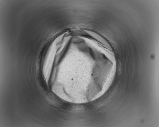 X0000116870206201001191730
