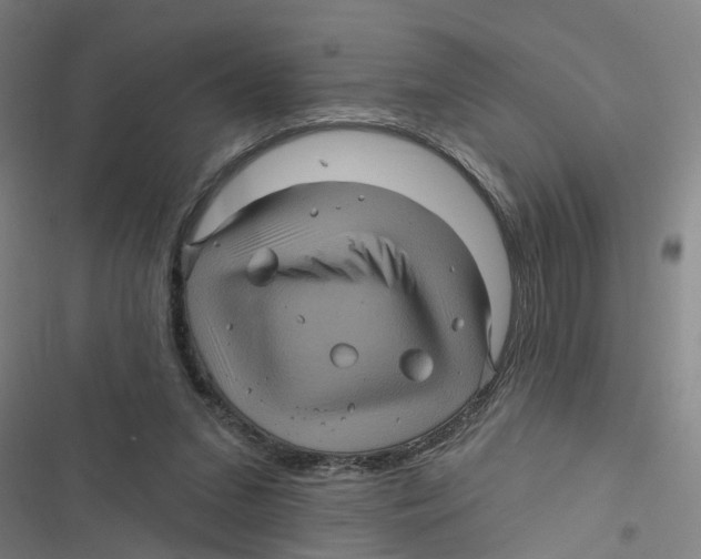 X0000116870207201001191730