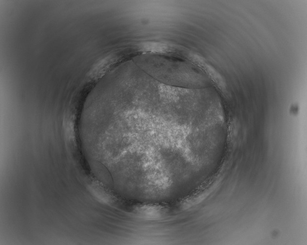 X0000116870209201001191730