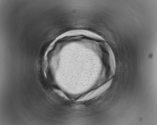 X0000116870210201001191730