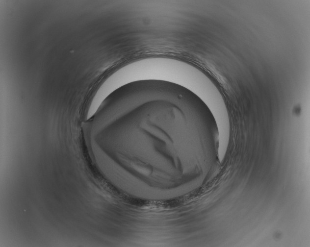 X0000116870211201001191730