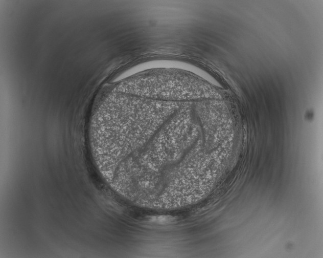 X0000116870212201001191730