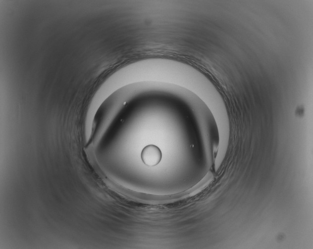 X0000116870215201001191730