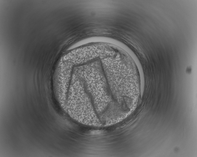 X0000116870216201001191730