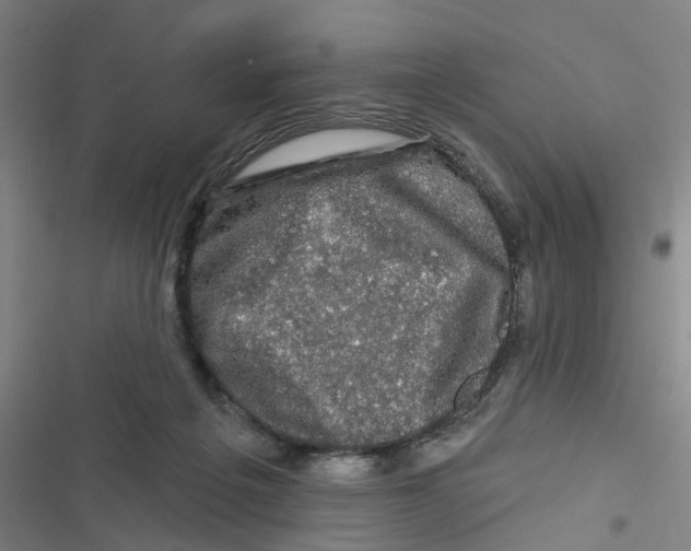 X0000116870217201001191730