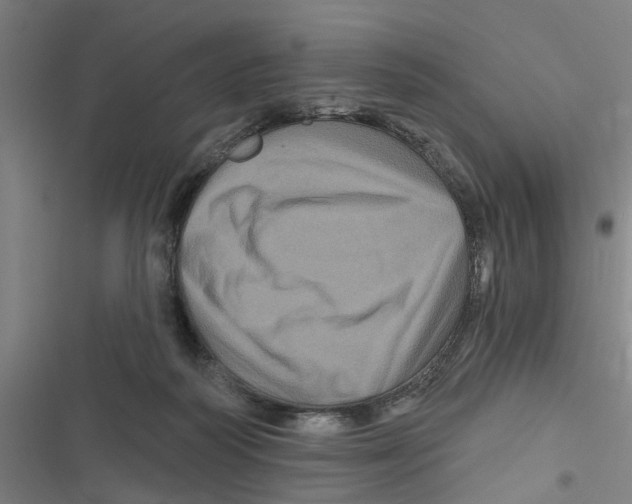 X0000116870218201001191730
