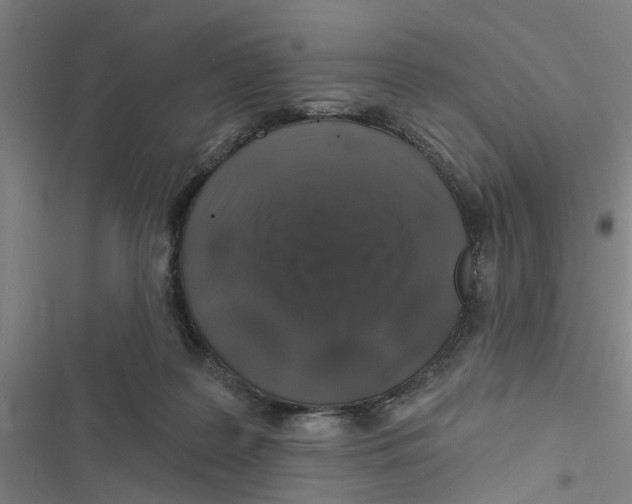 X0000116870219201001191730