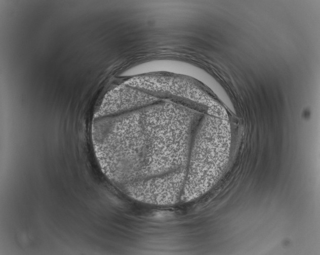 X0000116870220201001191730