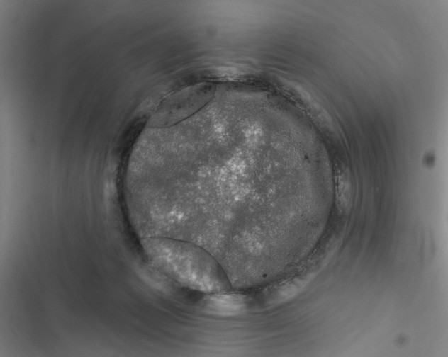X0000116870221201001191730
