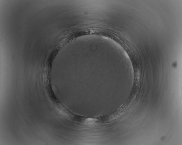 X0000116870222201001191730