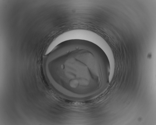 X0000116870223201001191730