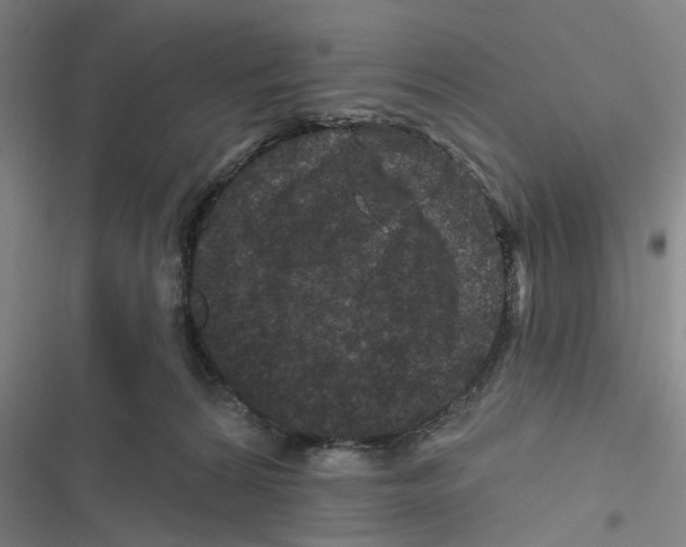 X0000116870224201001191730