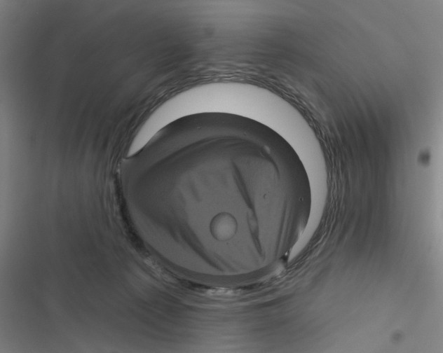 X0000116870225201001191730