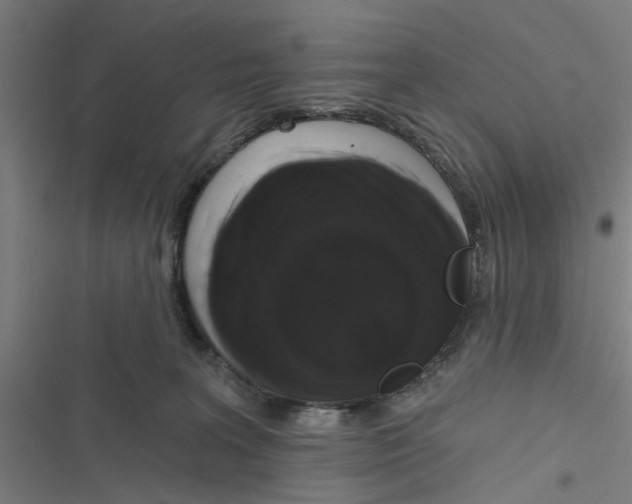 X0000116870227201001191729